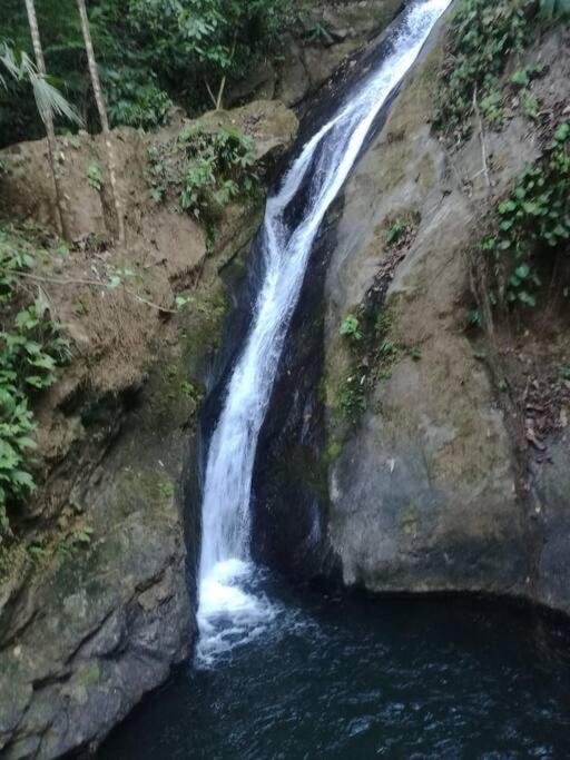 Hospedaje Valencia Osa, Cr Potrero  Экстерьер фото