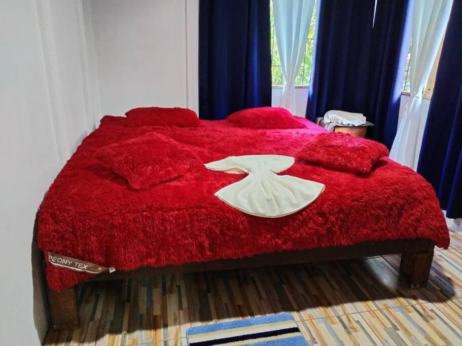 Hospedaje Valencia Osa, Cr Potrero  Экстерьер фото