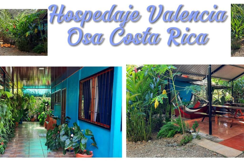 Hospedaje Valencia Osa, Cr Potrero  Экстерьер фото