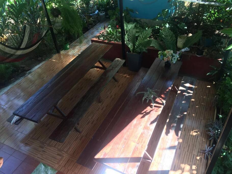 Hospedaje Valencia Osa, Cr Potrero  Экстерьер фото