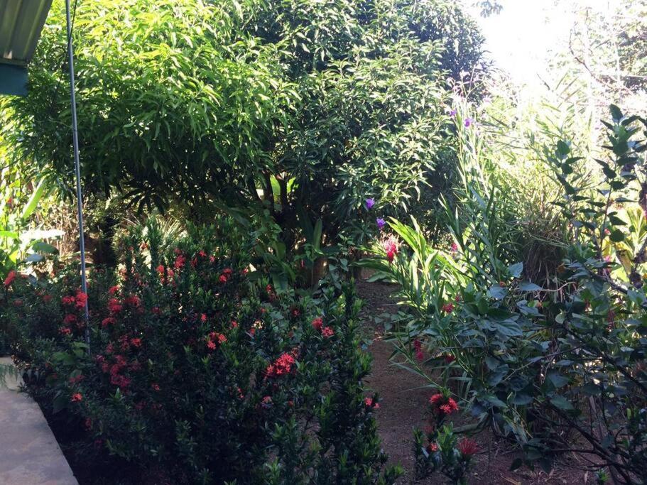 Hospedaje Valencia Osa, Cr Potrero  Экстерьер фото
