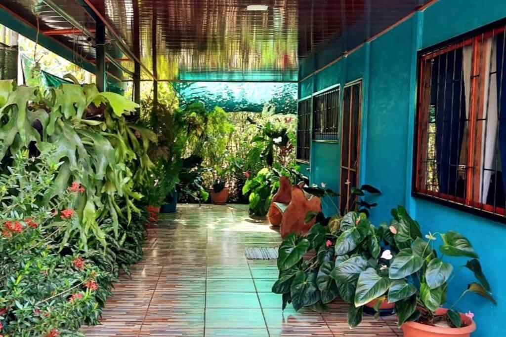 Hospedaje Valencia Osa, Cr Potrero  Экстерьер фото