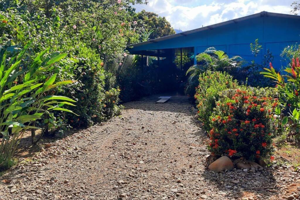 Hospedaje Valencia Osa, Cr Potrero  Экстерьер фото