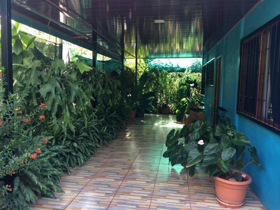 Hospedaje Valencia Osa, Cr Potrero  Экстерьер фото