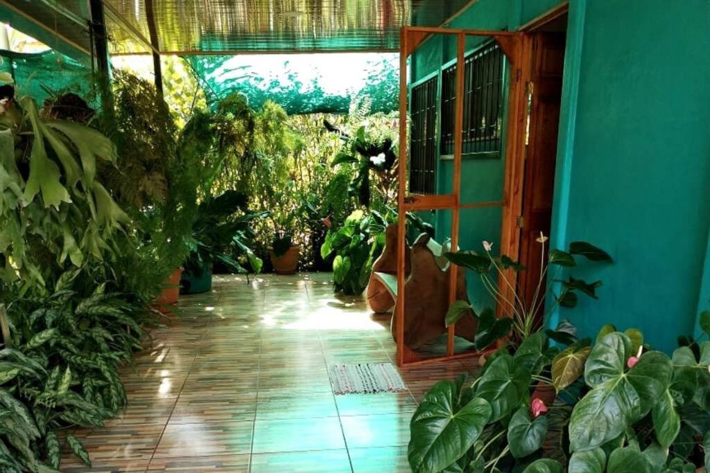Hospedaje Valencia Osa, Cr Potrero  Экстерьер фото